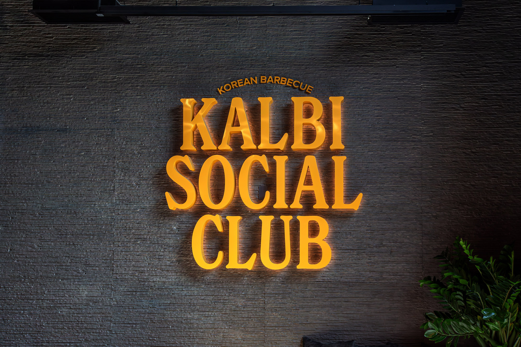 Kalbi Social Club WaterStar 081325 MGL9122 2k