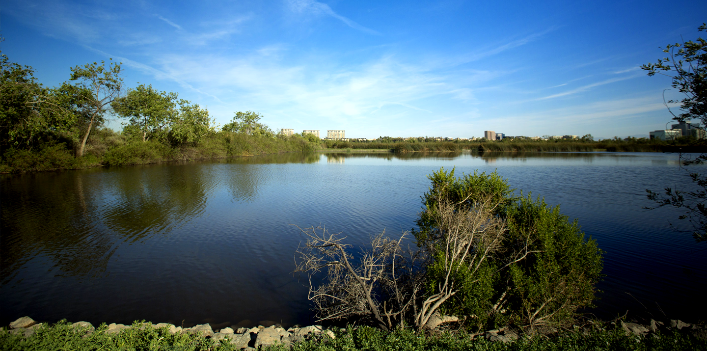 New Marsh 