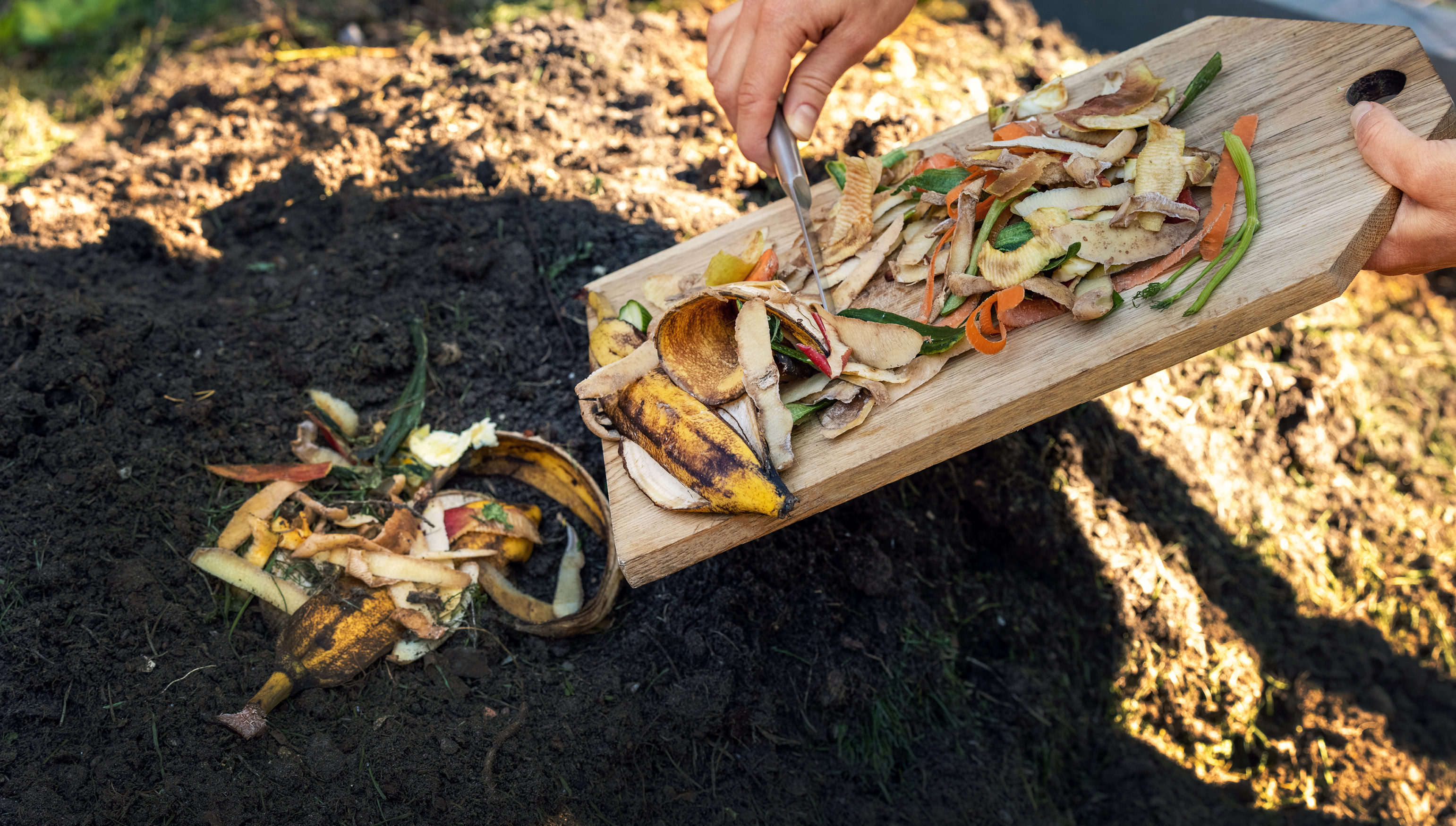 Learn from Master Gardeners at compost workshop