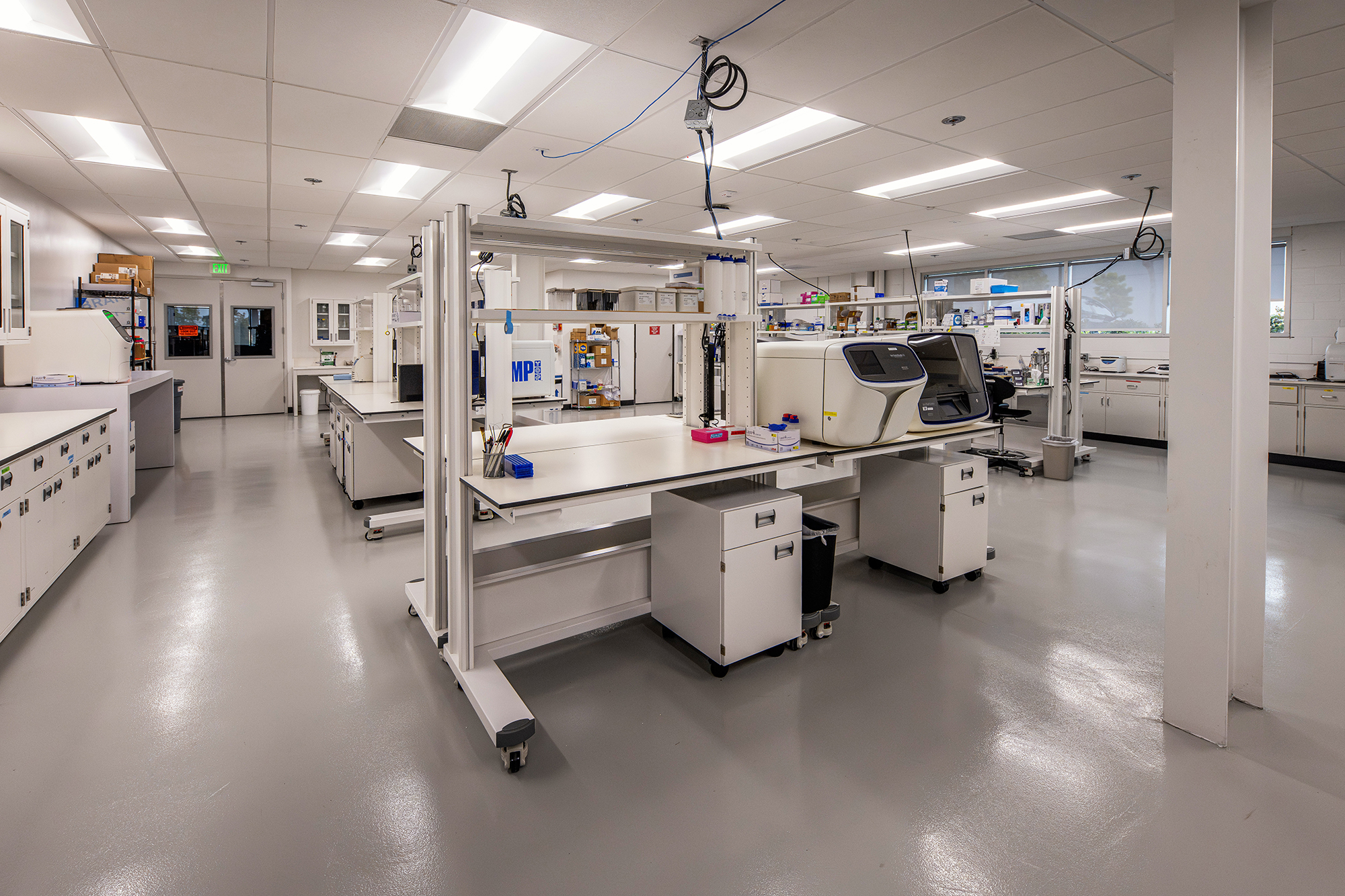 MP Biomedicals WaterStar DSC 2058 032525 web