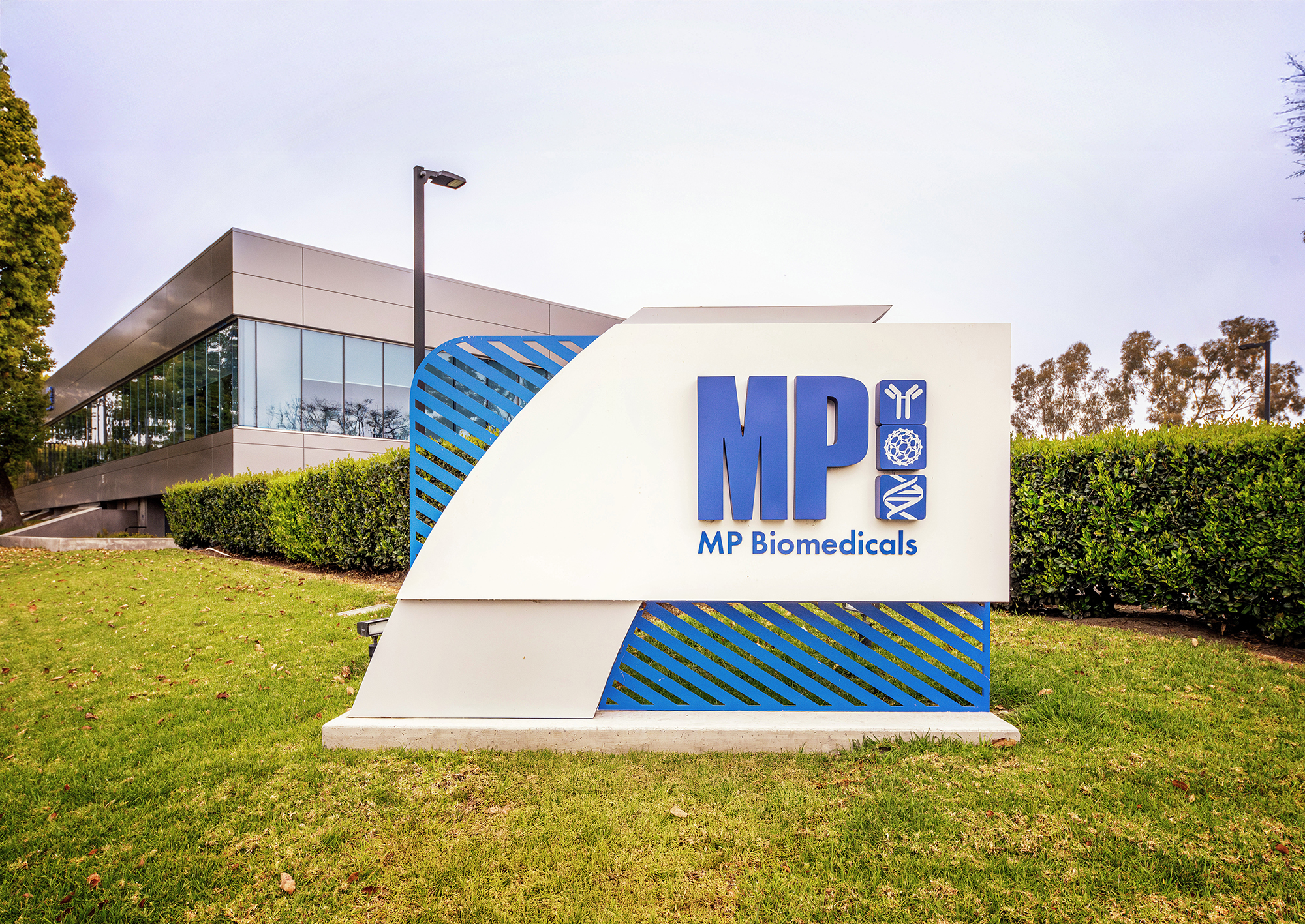 MP Biomedicals WaterStar DSC 2085 032525 web