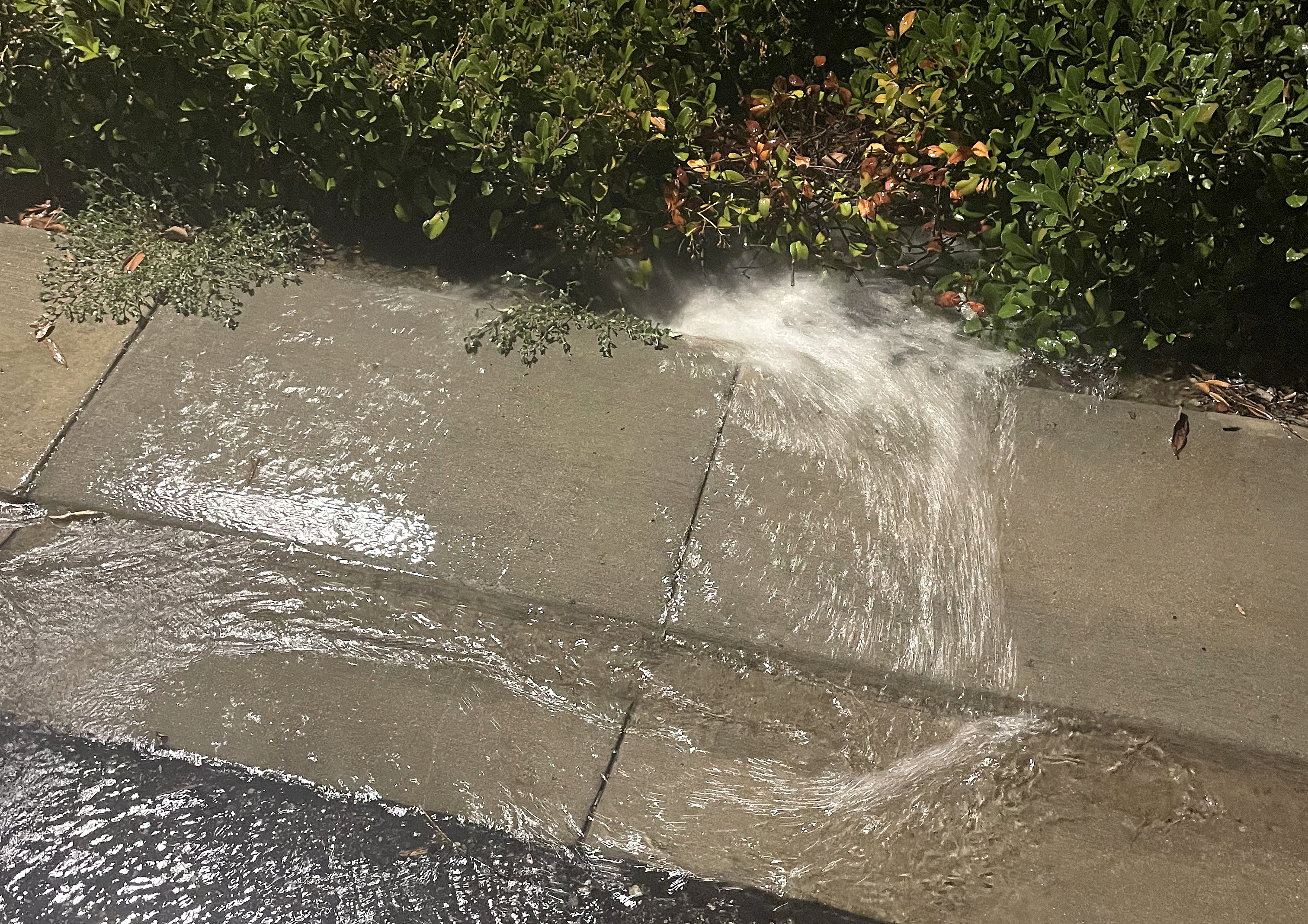 SprinklerLeak Wide