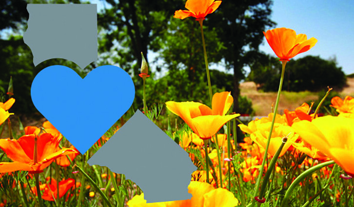 726x425 2021 California Heart Poppy