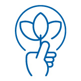 Icon   Plant