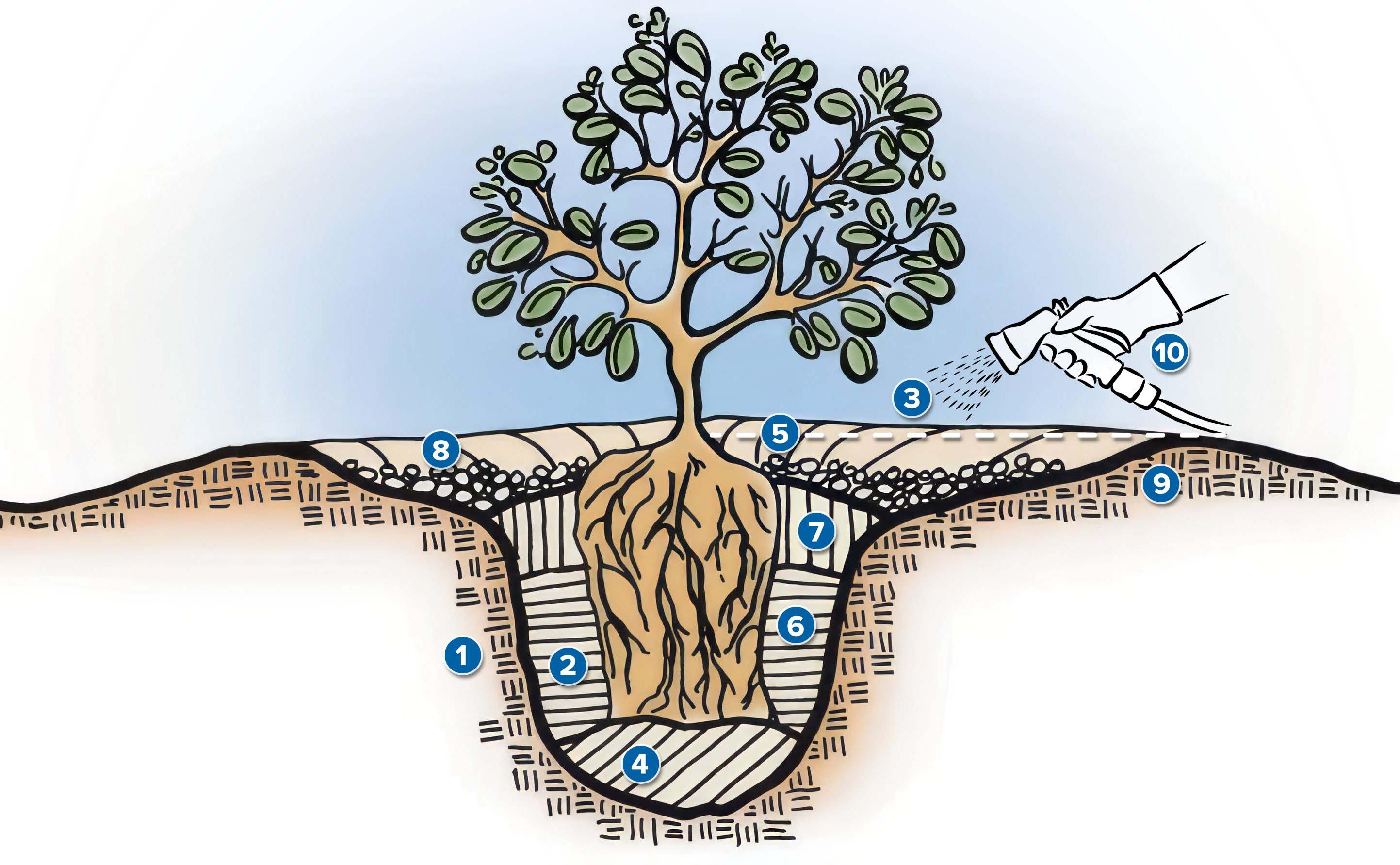 Native Planting Guide new